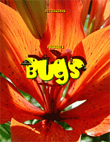 Bugs (Retroworks)